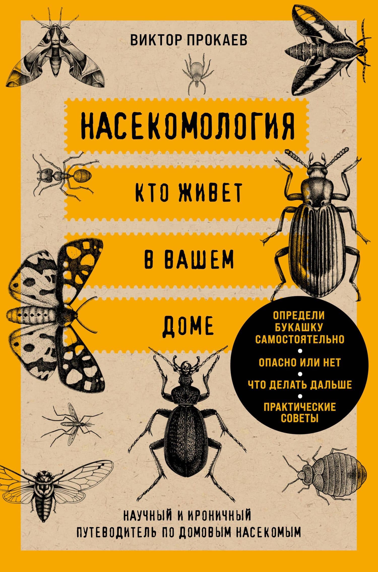 Насекомология. Кто живет в вашем доме: научный и ироничный путеводитель по домовым насекомым — Виль Геннадьевич Малиношевский