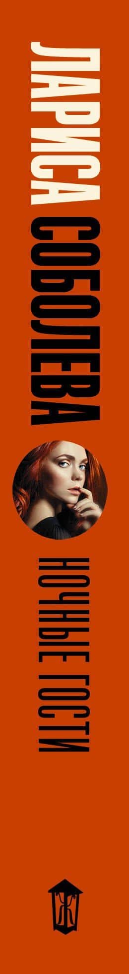 Ночные гости — Лариса Павловна Соболева (3)