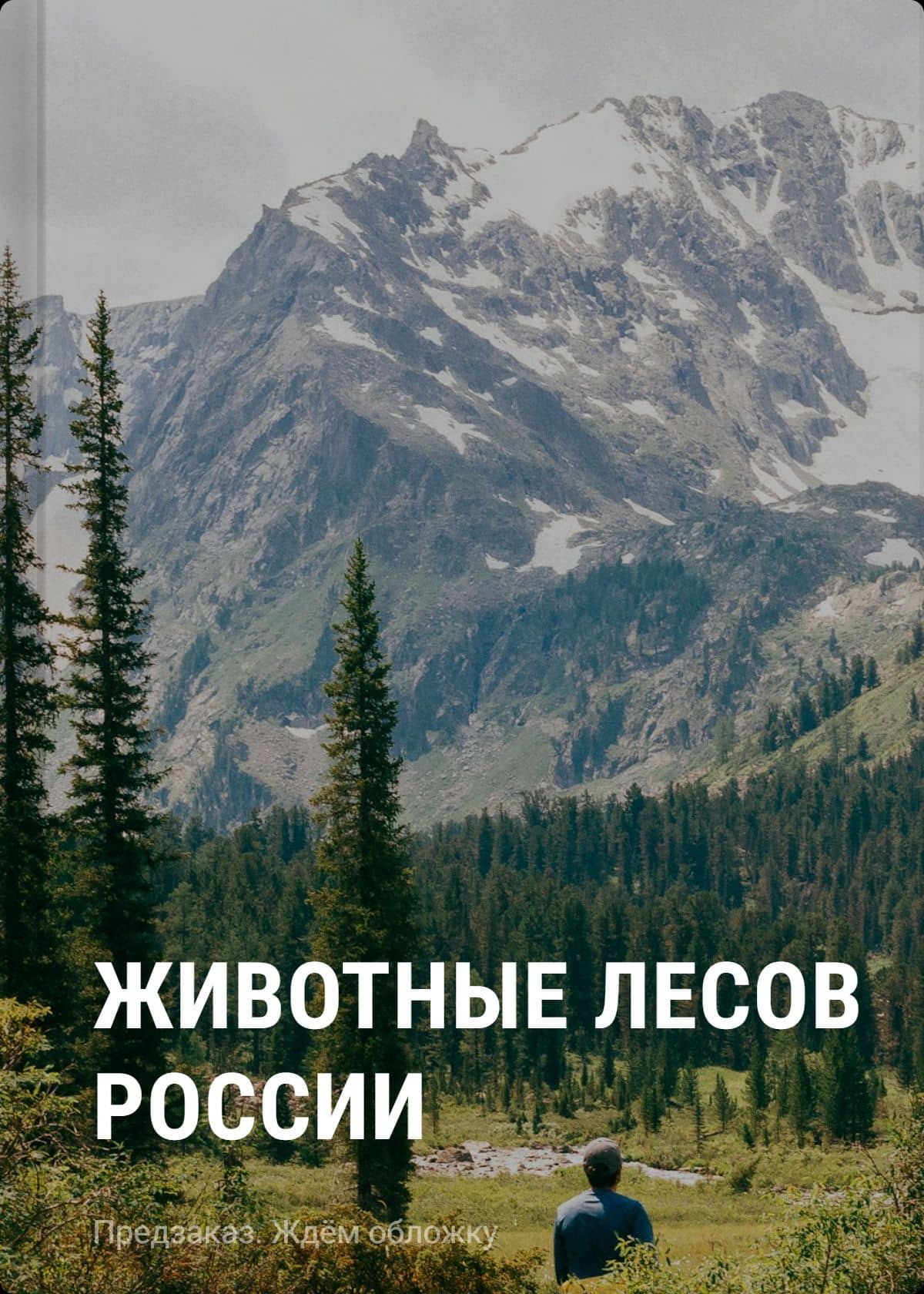 Животные лесов России