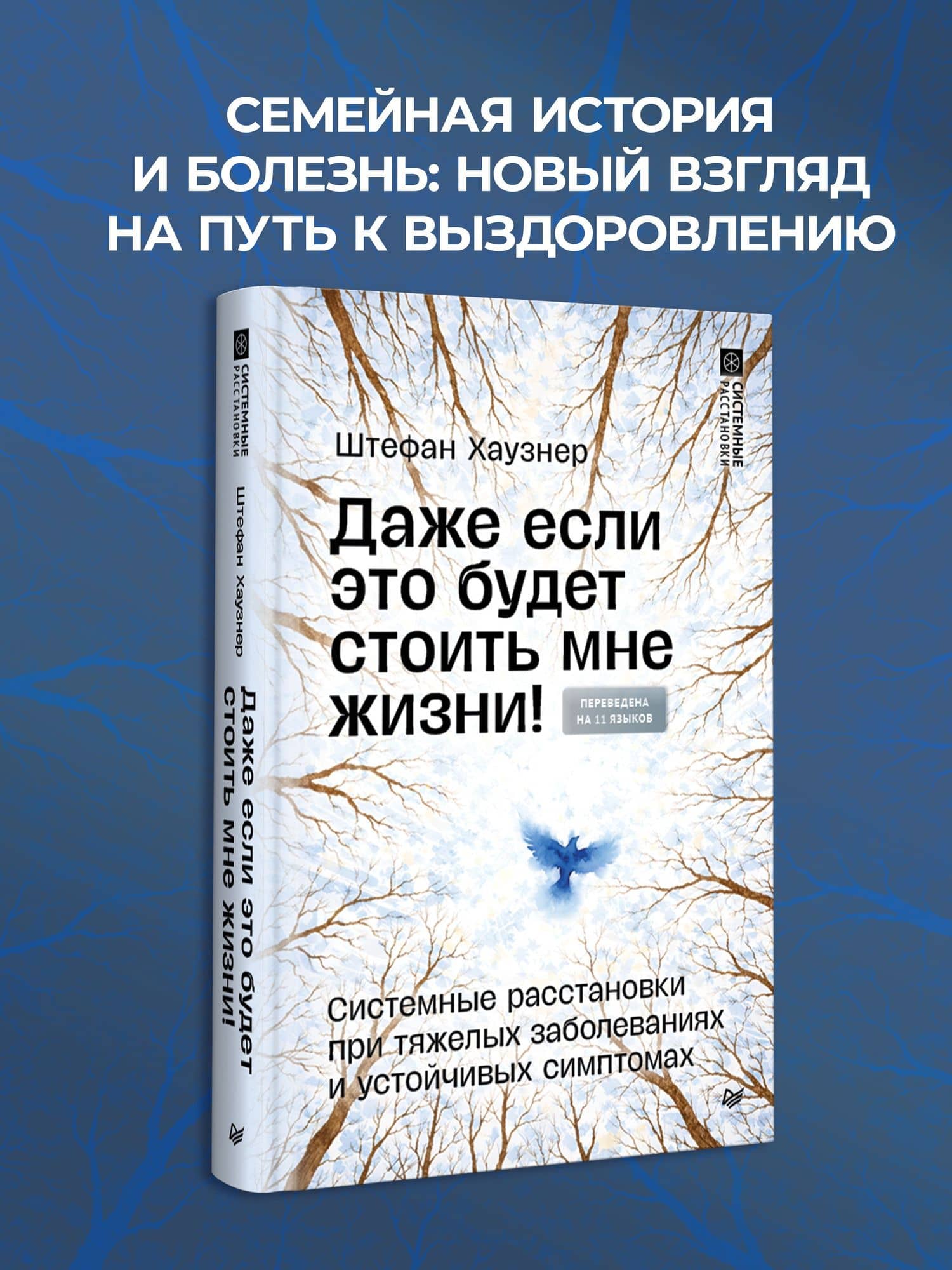 Даже если это будет стоить мне жизни! Системные расстановки при тяжелых заболеваниях и устойчивых симптомах — Штефан Хаузнер (2)