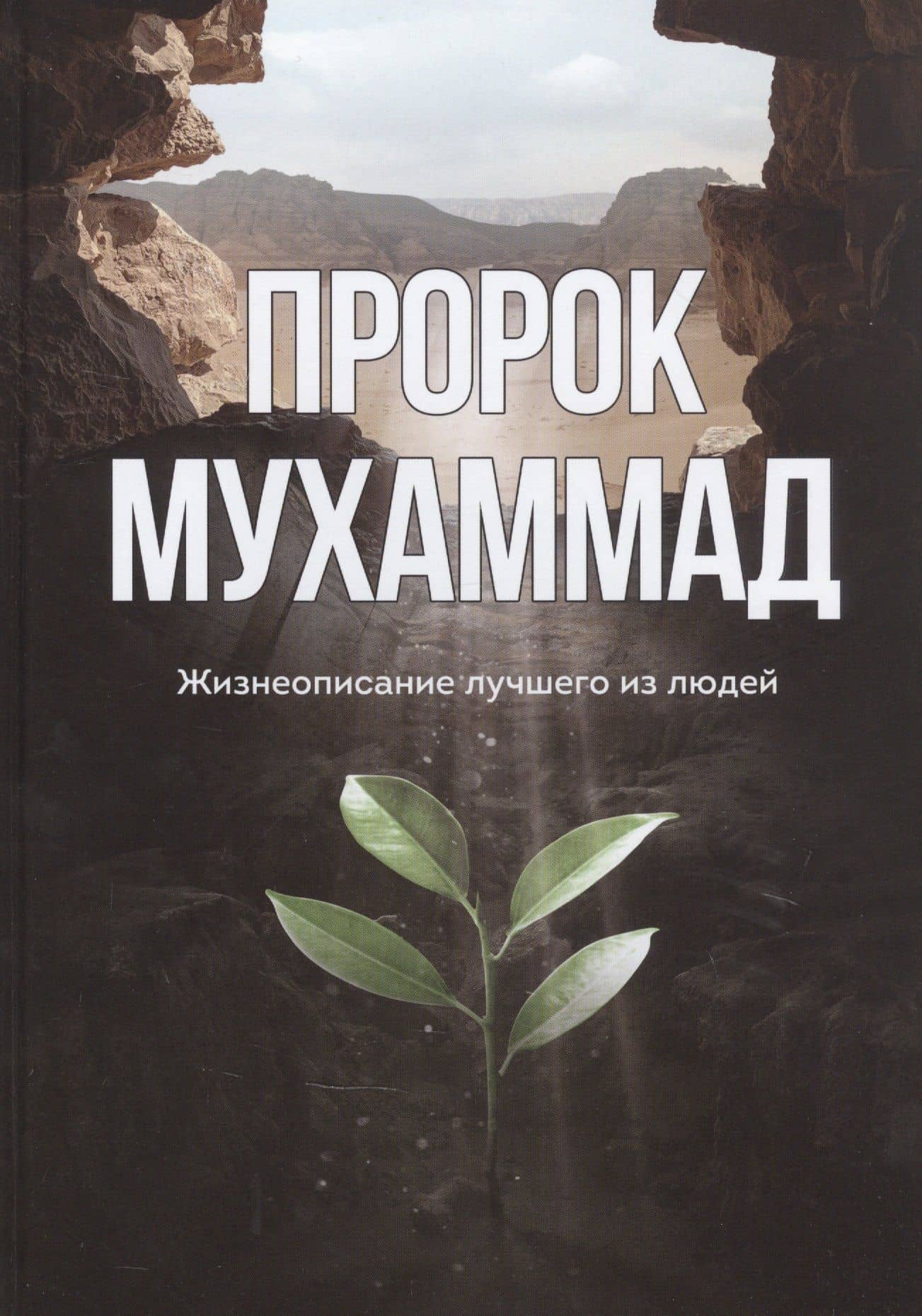 Пророк Мухаммад. Жизнеописание лучшего из людей (обл.Росток)
