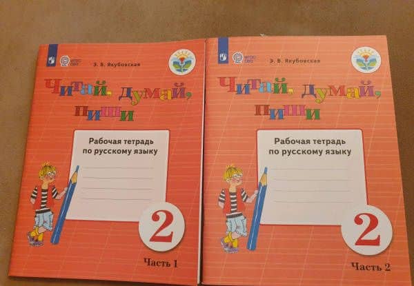 Русский язык. Читай, думай, пиши! 2 класс. Рабочая тетрадь. Адаптированные программы. В 2-х частях — Эвелина Вячеславовна Якубовская (3)