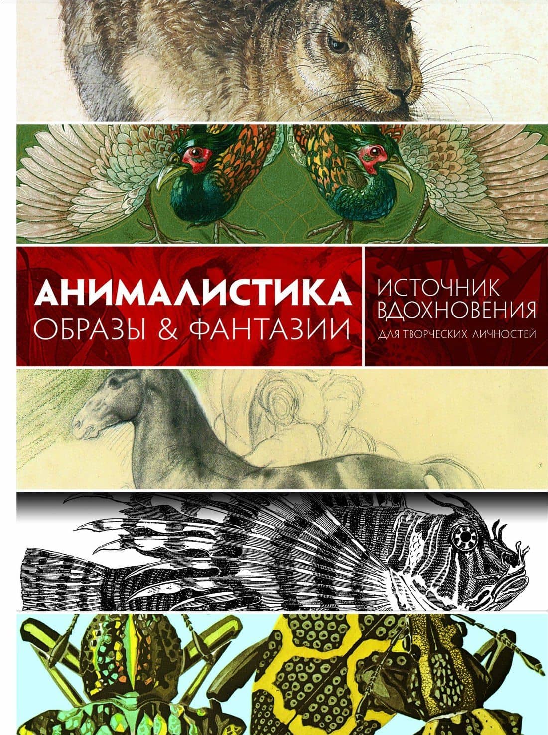 Анималистика. Образы & фантазии — Кэрол Беланже Графтон