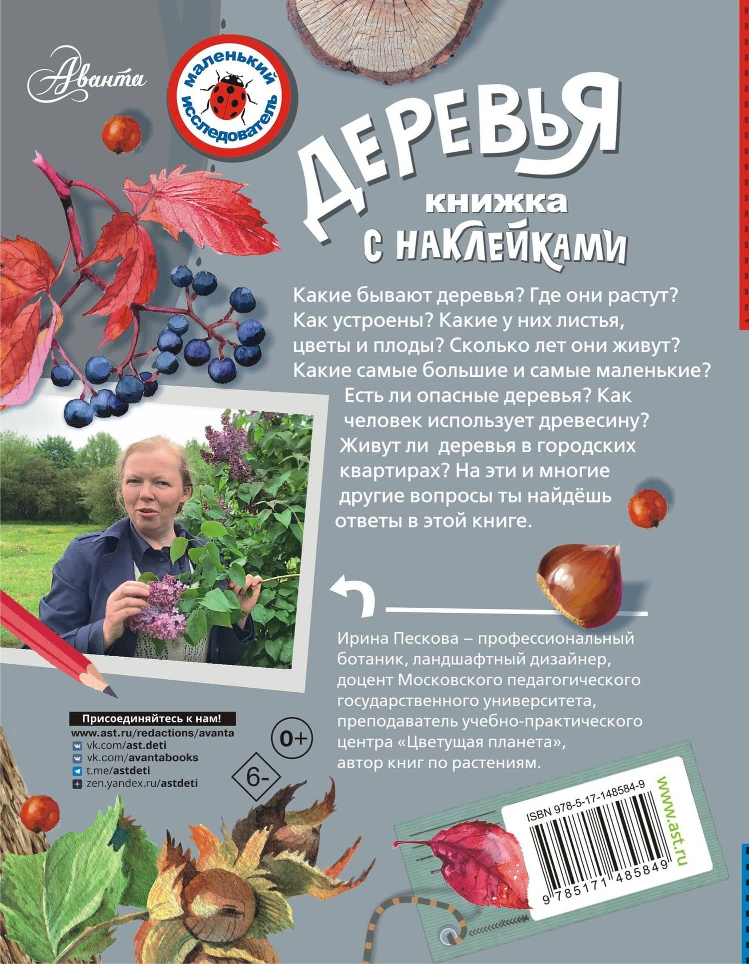 Деревья — Пескова Ирина Михайловна (2)