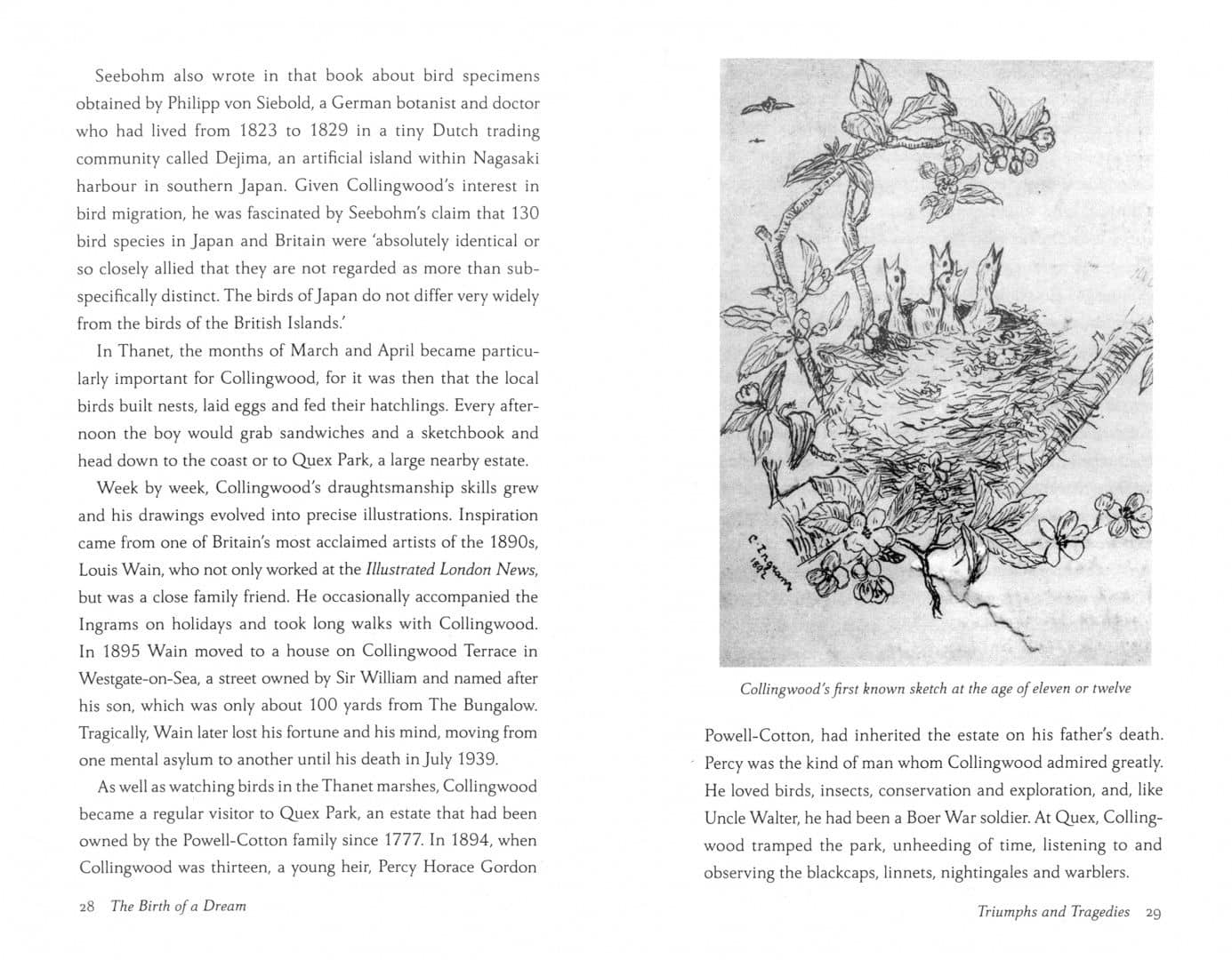 'Cherry' Ingram. The Englishman Who Saved Japan’s Blossoms — Naoko Abe (2)