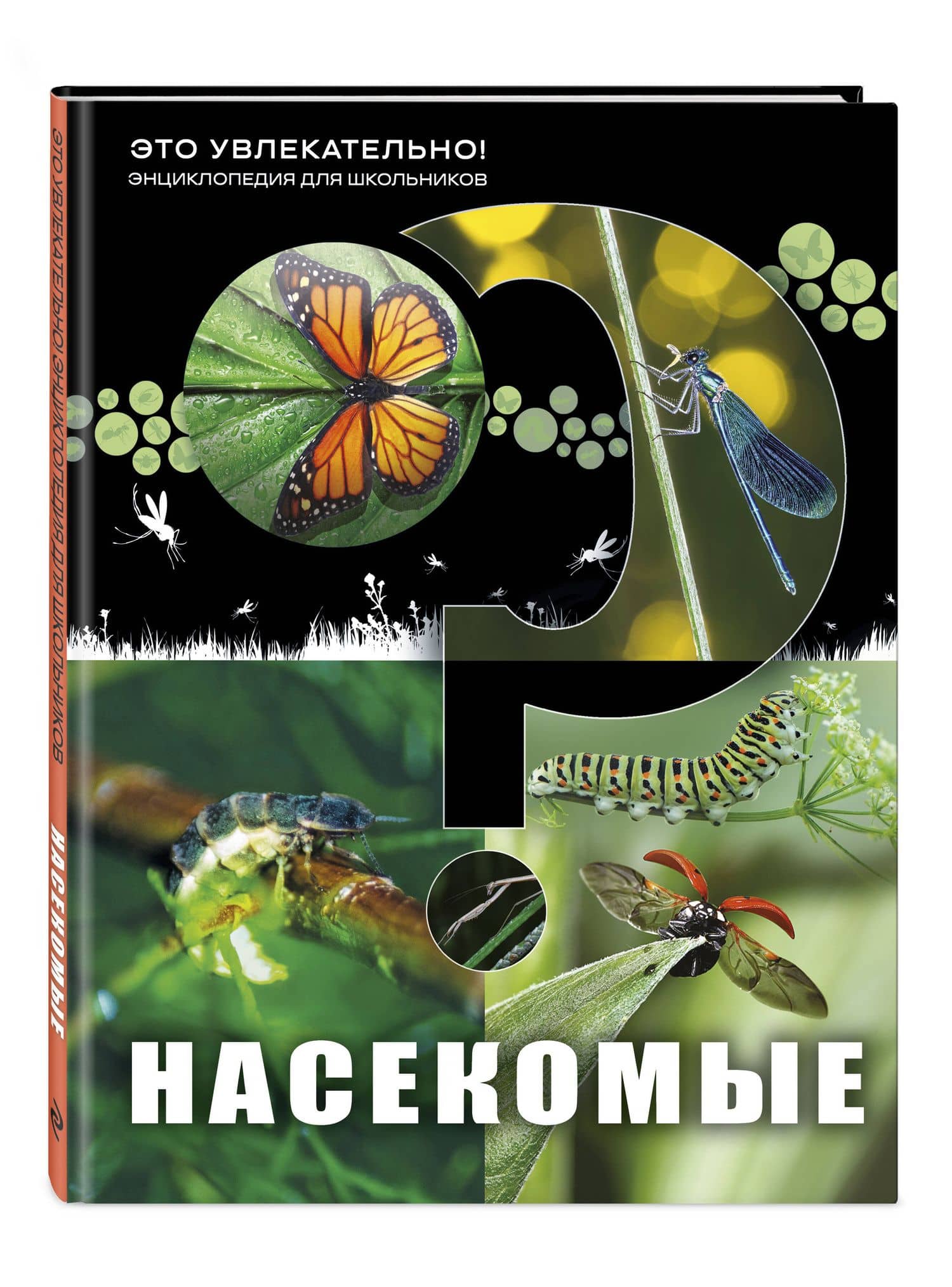 Насекомые (3)