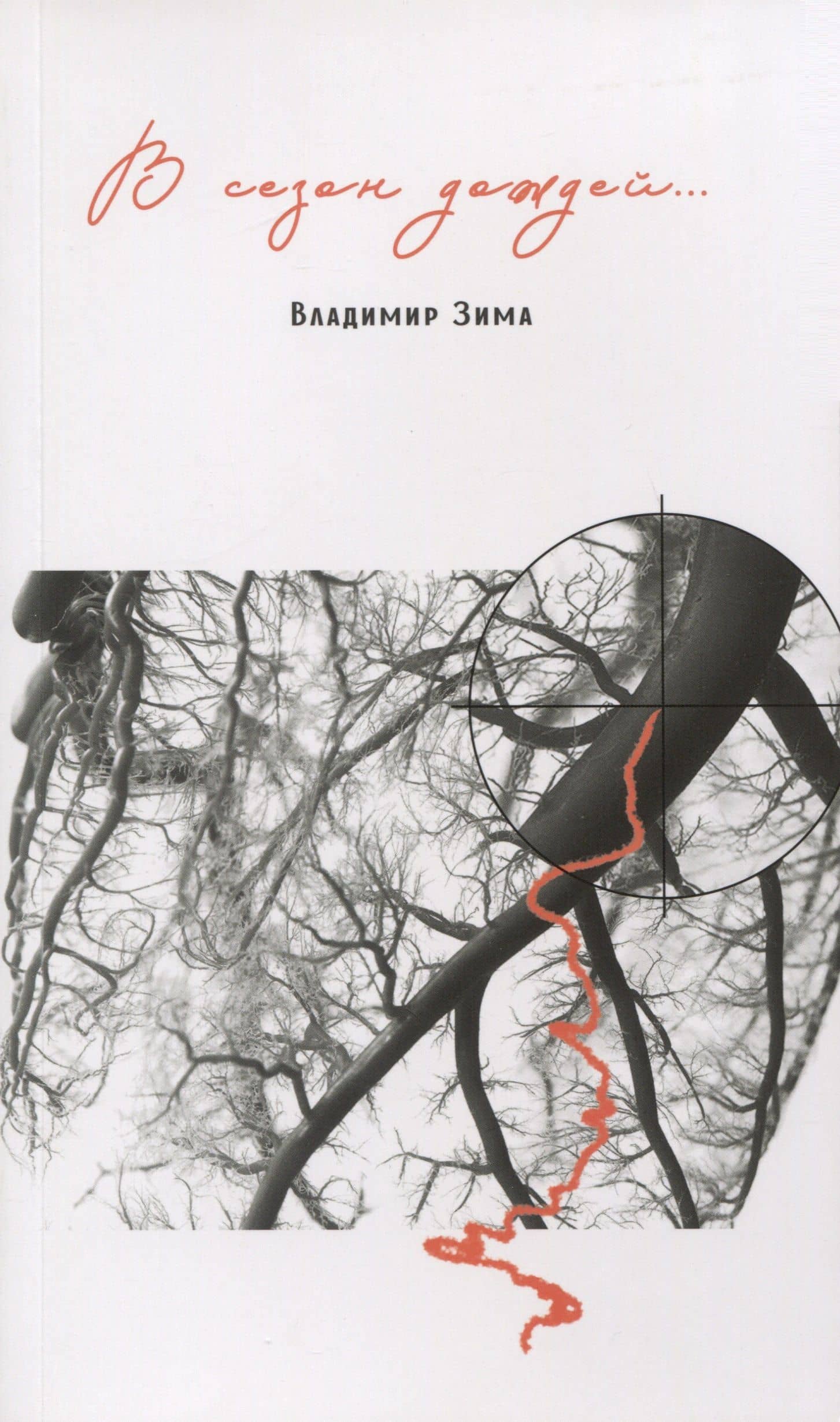 В сезон дождей….