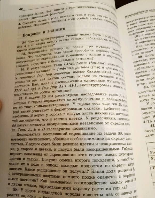 Решение задач по генетике — Андрей Андреевич Синюшин (2)