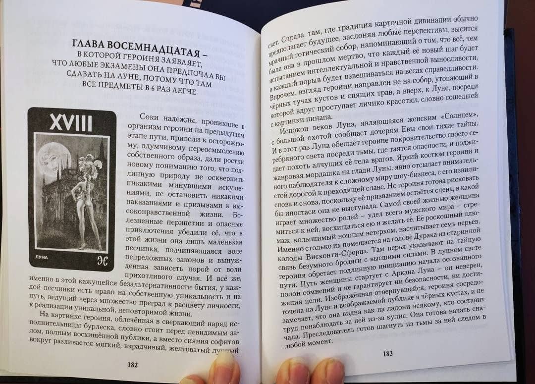 Таро Манара. Бизнес на грани секса. Том 1 — Эльза Хапатнюковская (3)