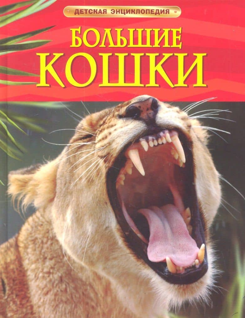 Большие кошки. — Джонатан Шейх-Миллер