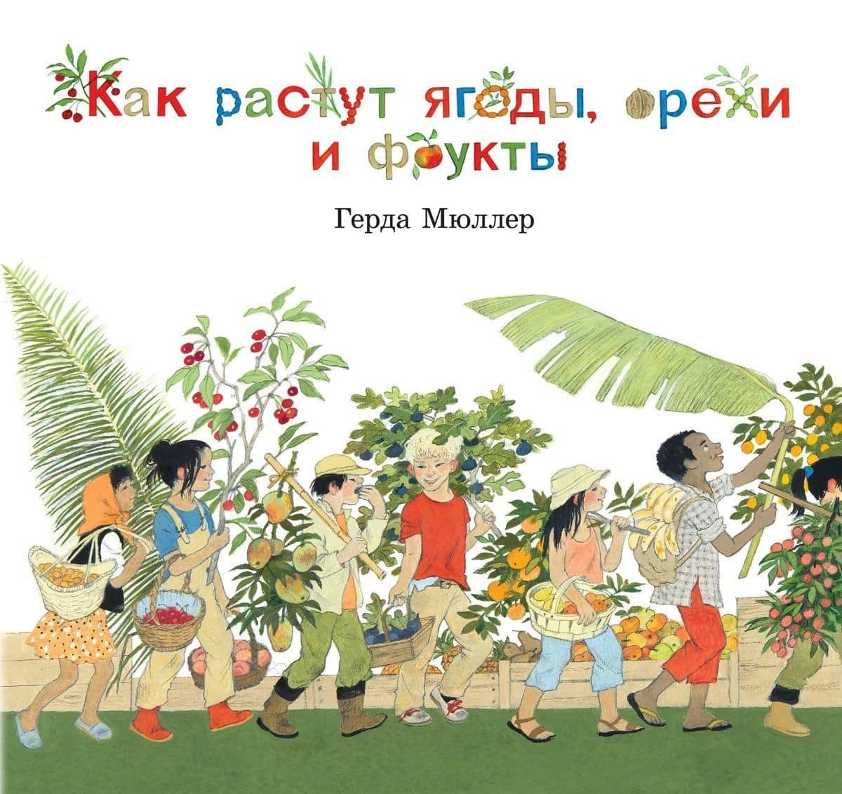 Как растут ягоды, орехи и фрукты (иллюстрации Герды Мюллер)
