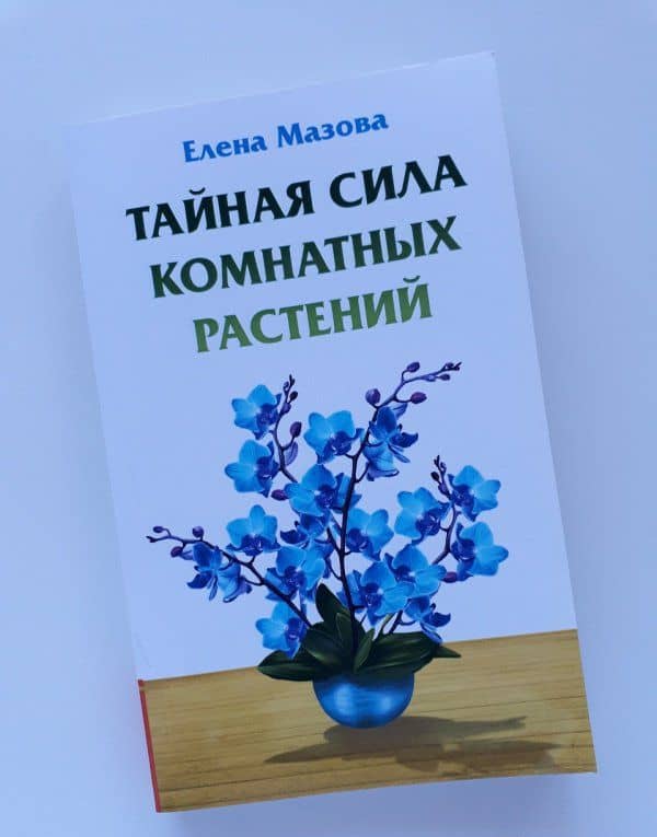 Тайная сила комнатных растений — Елена Валентиновна Мазова (3)