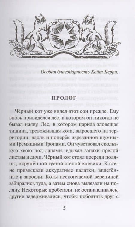 Тень Когтегрива Видения — Хантер Эрин (2)