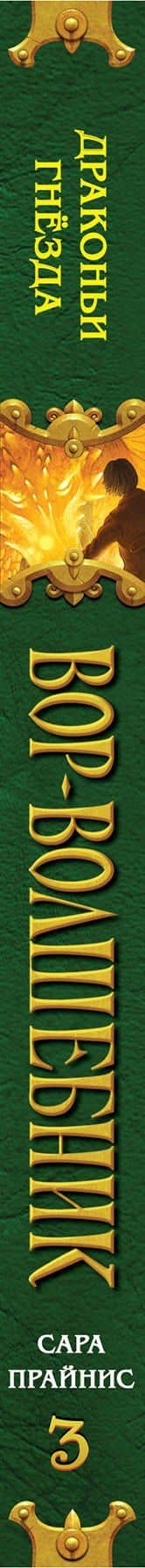 Вор-волшебник. Драконьи гнёзда (#3) — Сара Прайнис (3)