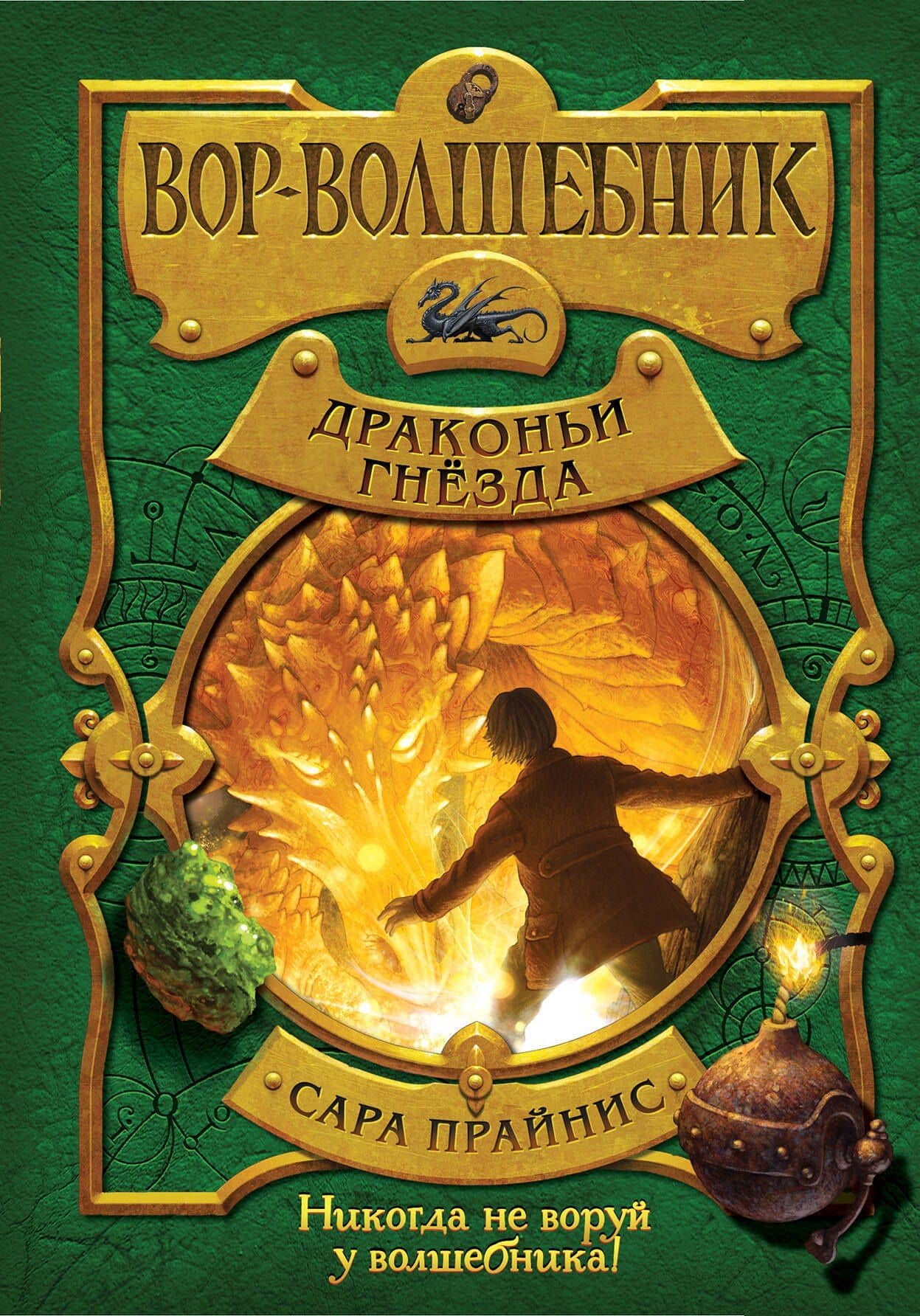 Вор-волшебник. Драконьи гнёзда (#3) — Сара Прайнис