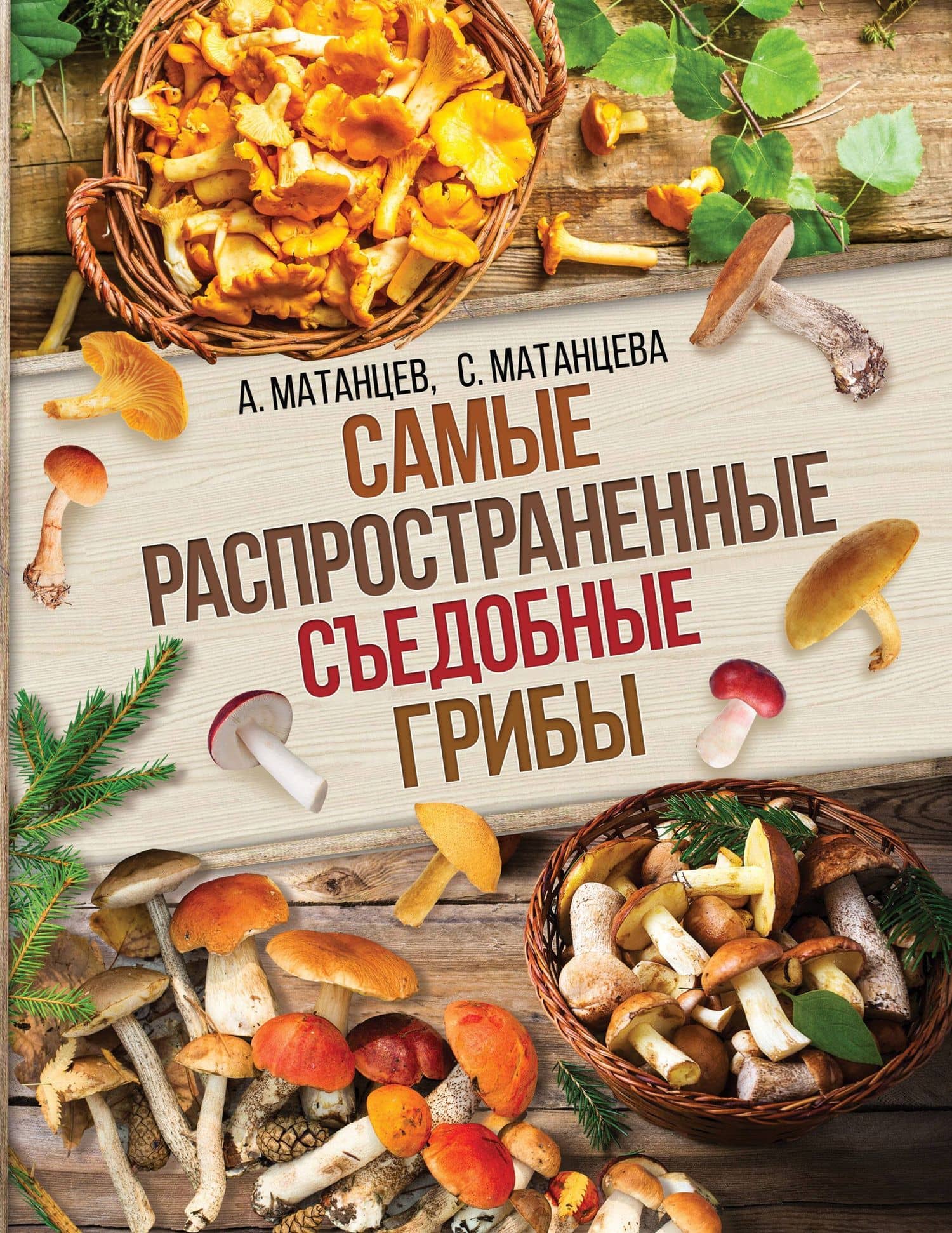 Самые распространенные съедобные грибы — Светлана Григорьевна Матанцева
