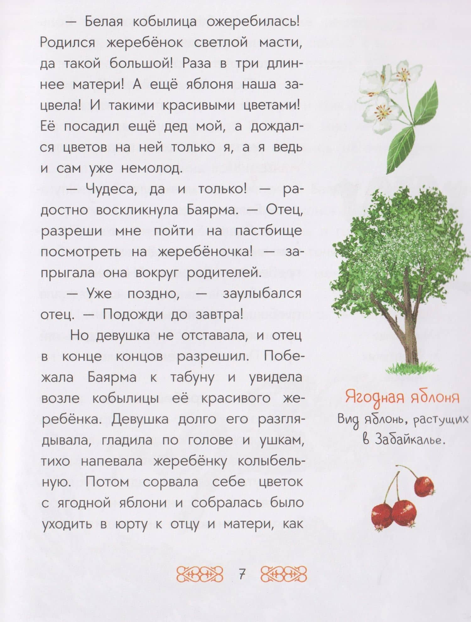 Бурятские сказки. Чудо-жеребёнок (3)