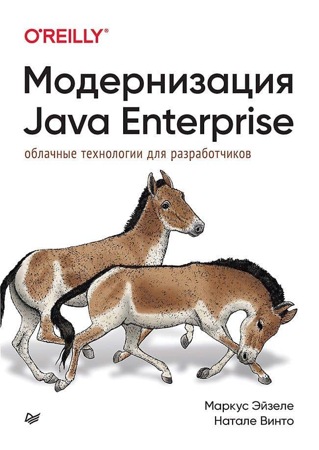 Модернизация Java Enterprise: облачные технологии для разработчиков — Натале Винто