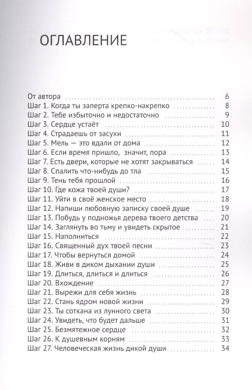 29 шагов. Чтобы выйти из Лабирина — Дика Кара (2)
