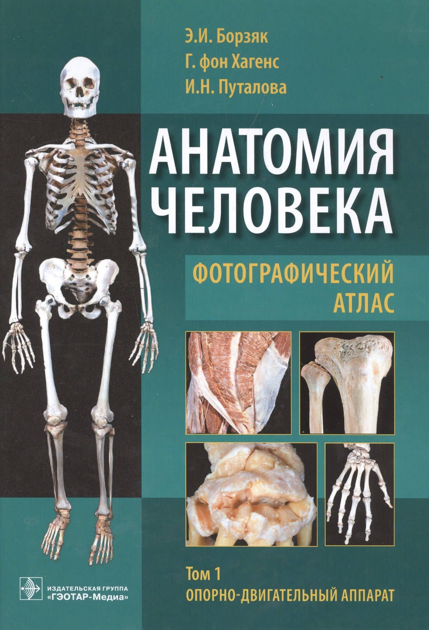 Анатомия человека Фотографический атлас 1/3тт. Опорно-двиг. аппарат (Борзяк) — Эдуард Иванович Борзяк