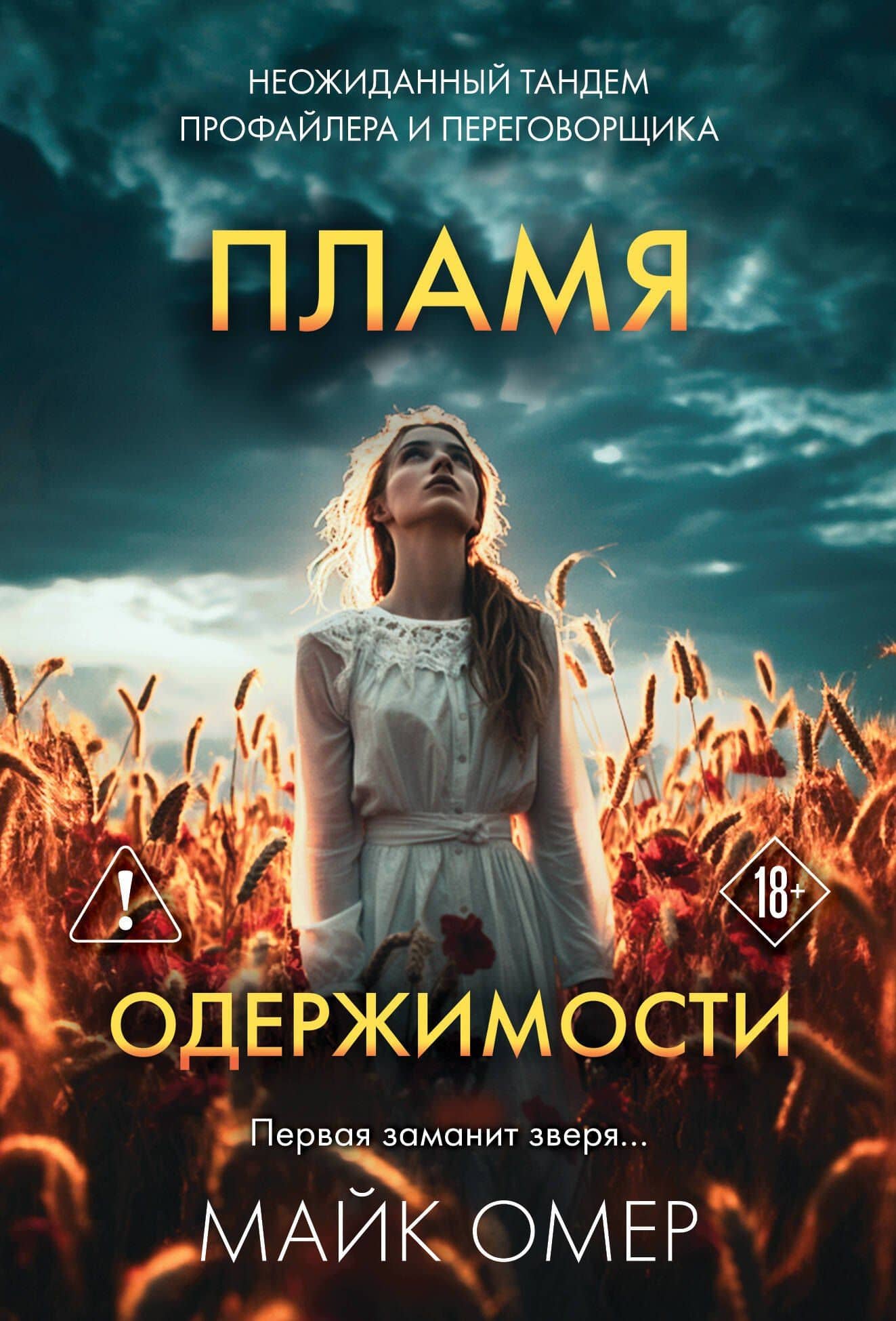 Обложка книги
