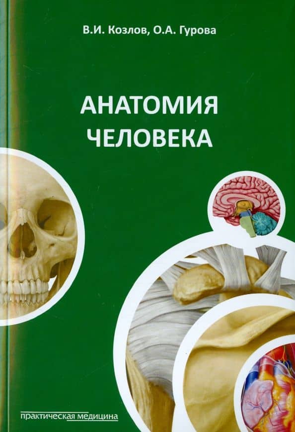 Анатомия человека. Краткий курс