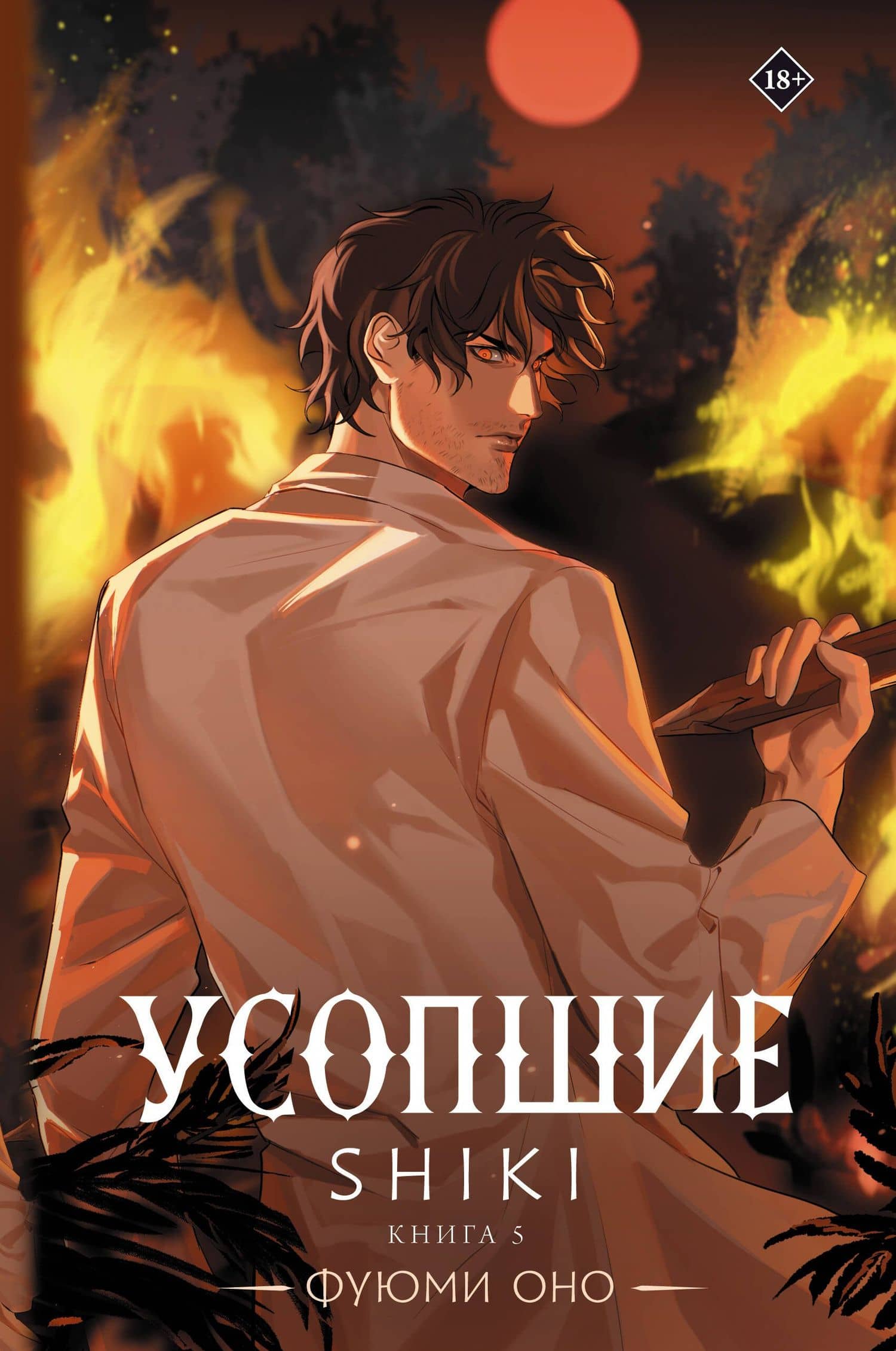 Обложка книги