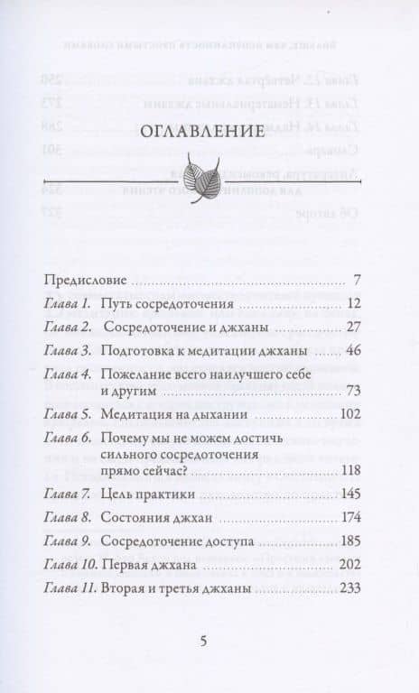 Больше, чем осознанность простыми словами. Простой и понятный путеводитель по джханам, или глубоким медитативным состояниям — Бханте Хенепола Гунаратана (2)