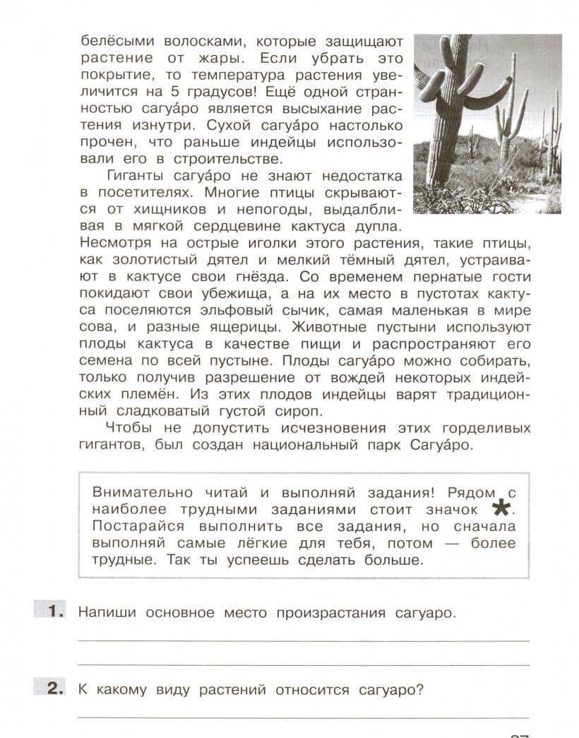 Литературное чтение. 3 класс. Подготовка к Всероссийской проверочной работе. ФГОС — Татьяна Леонидовна Мишакина (3)