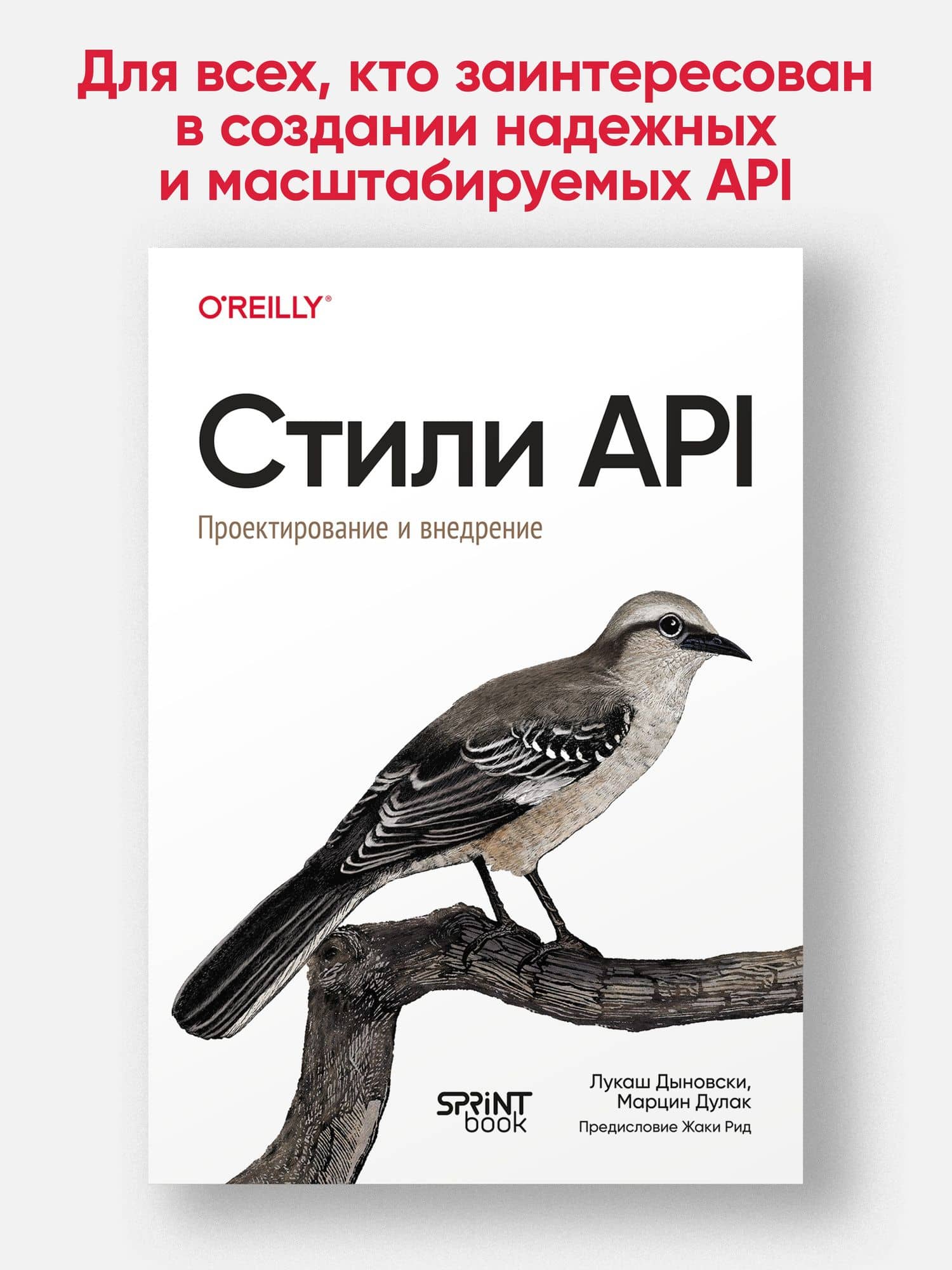 Стили API. Проектирование и внедрение — Марцин Дулак (2)