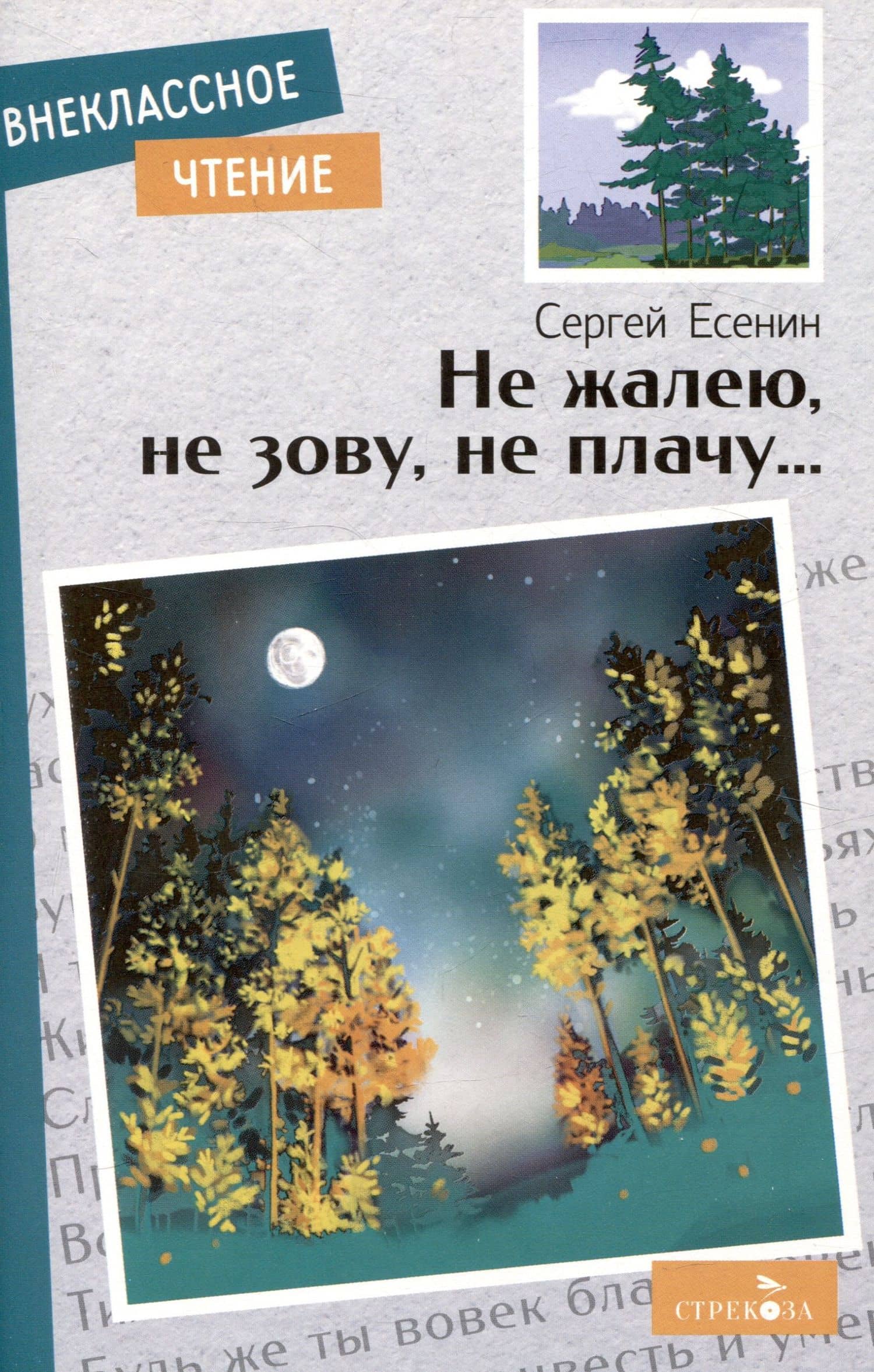 Внеклассное чтение. Не жалею, не зову, не плачу….