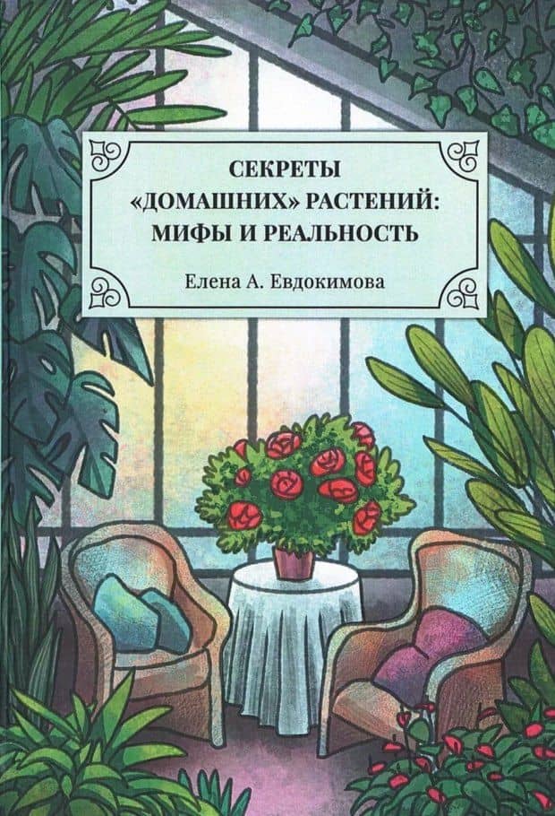 Секреты «домашних» растений: мифы и реальность — Елена А. Евдокимова
