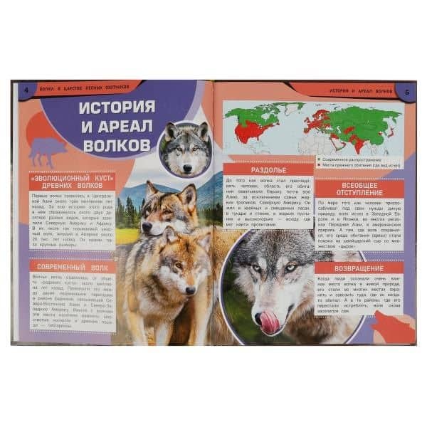 Волки. В царстве лесных охотников — Павлинов Игорь Яковлевич (2)