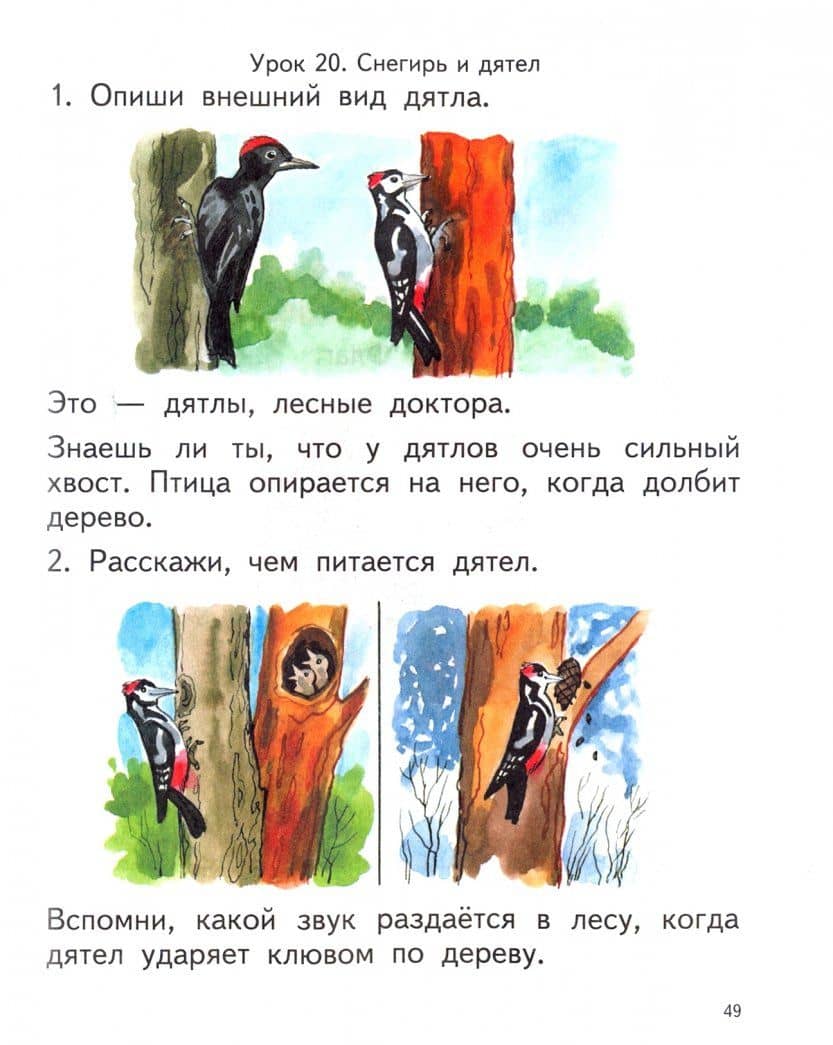 Мир природы и человека. 2 класс. Учебник. Адаптированные программы. ФГОС — Светлана Владимировна Кудрина (2)