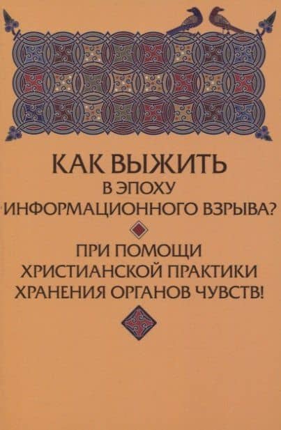 Как выжить в эпоху информационного взрыва? При помощи христианской практики хранения органов чувств! — Юрий Михайлович Зенько