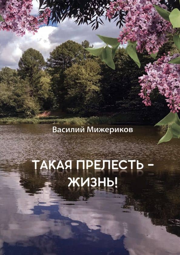 Такая прелесть - жизнь — Василий Андреевич Мижериков
