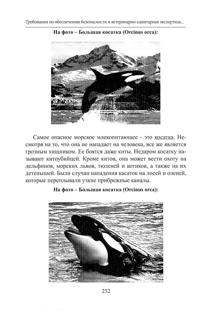 Требования по обеспечению безопасности и ветеринарно-санитарная экспертиза продукции промысла водных — Александр Серафимович Герасимов (2)