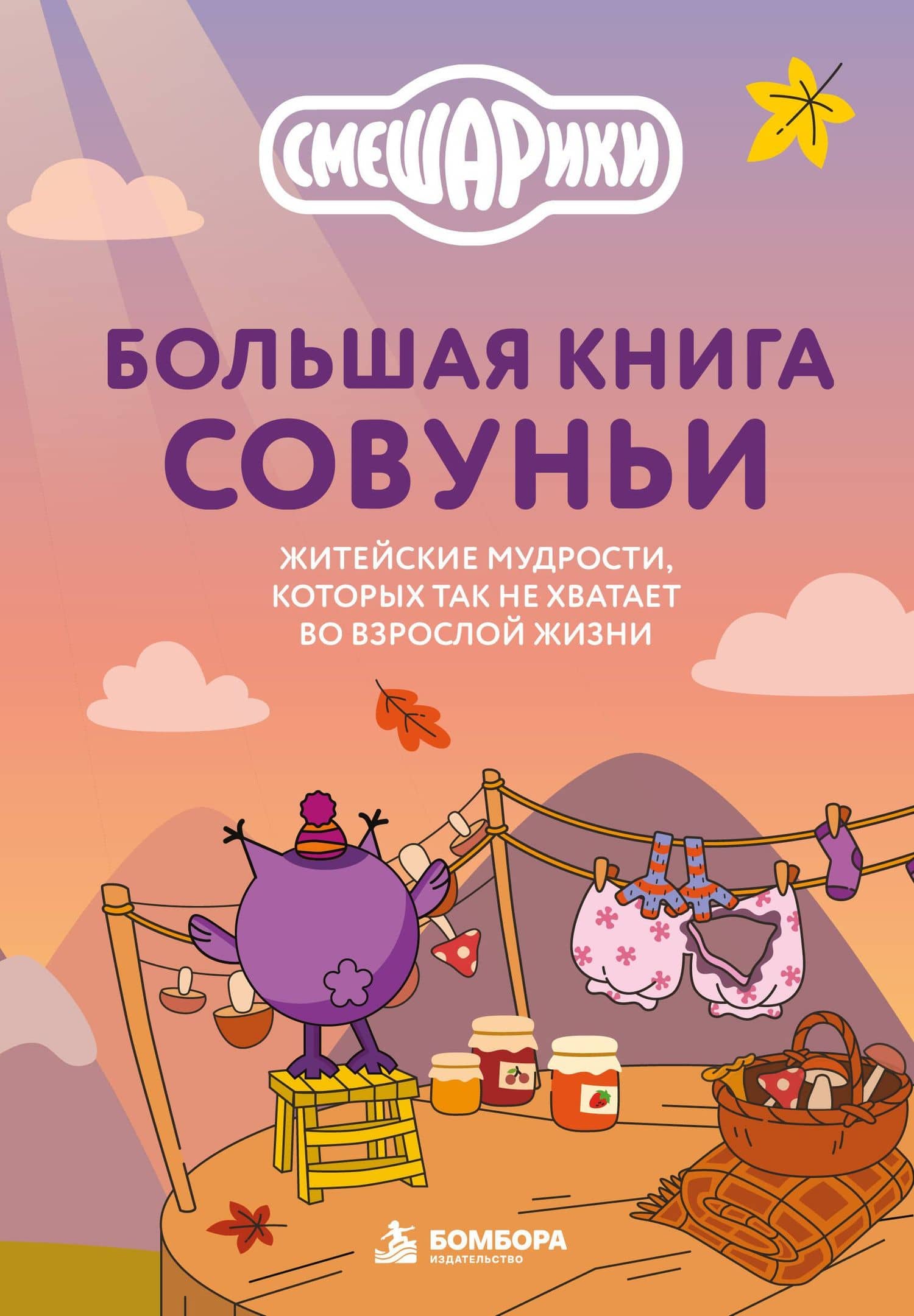 Большая книга Совуньи. Житейские мудрости, которых так не хватает во взрослой жизни