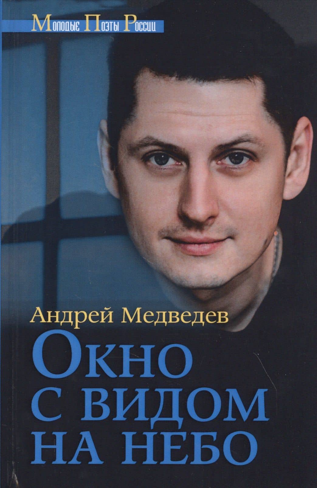 Окно с видом на небо — Андрей Медведев