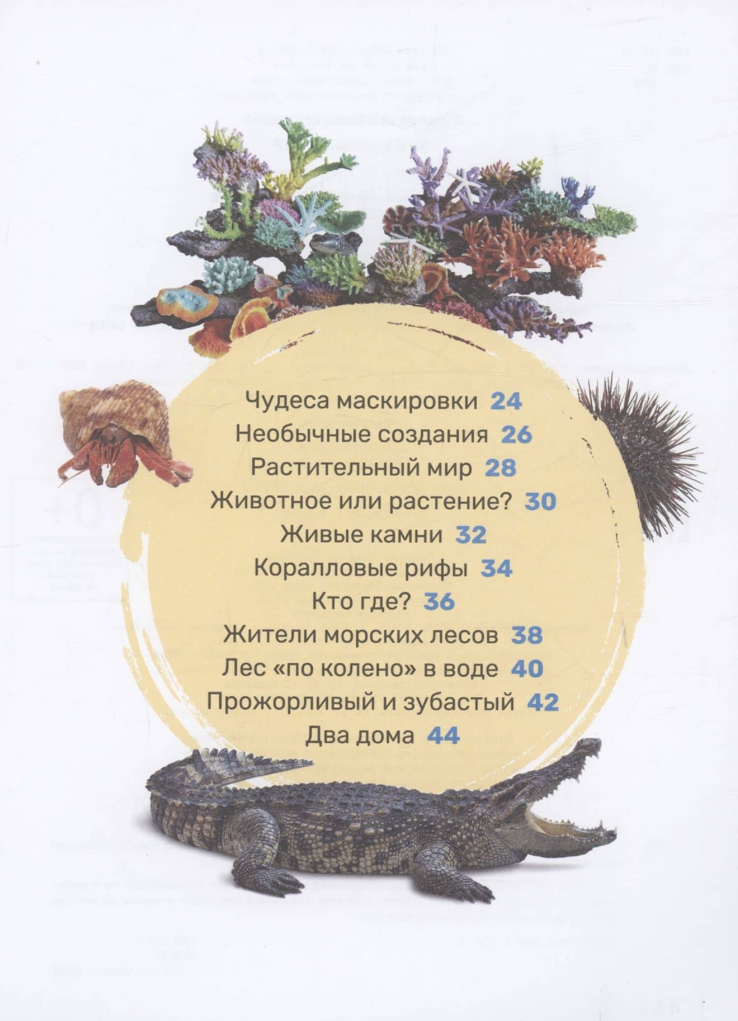 Подводный мир. Первая энциклопедия малыша — Кира Егоровна Тяжелкова (3)