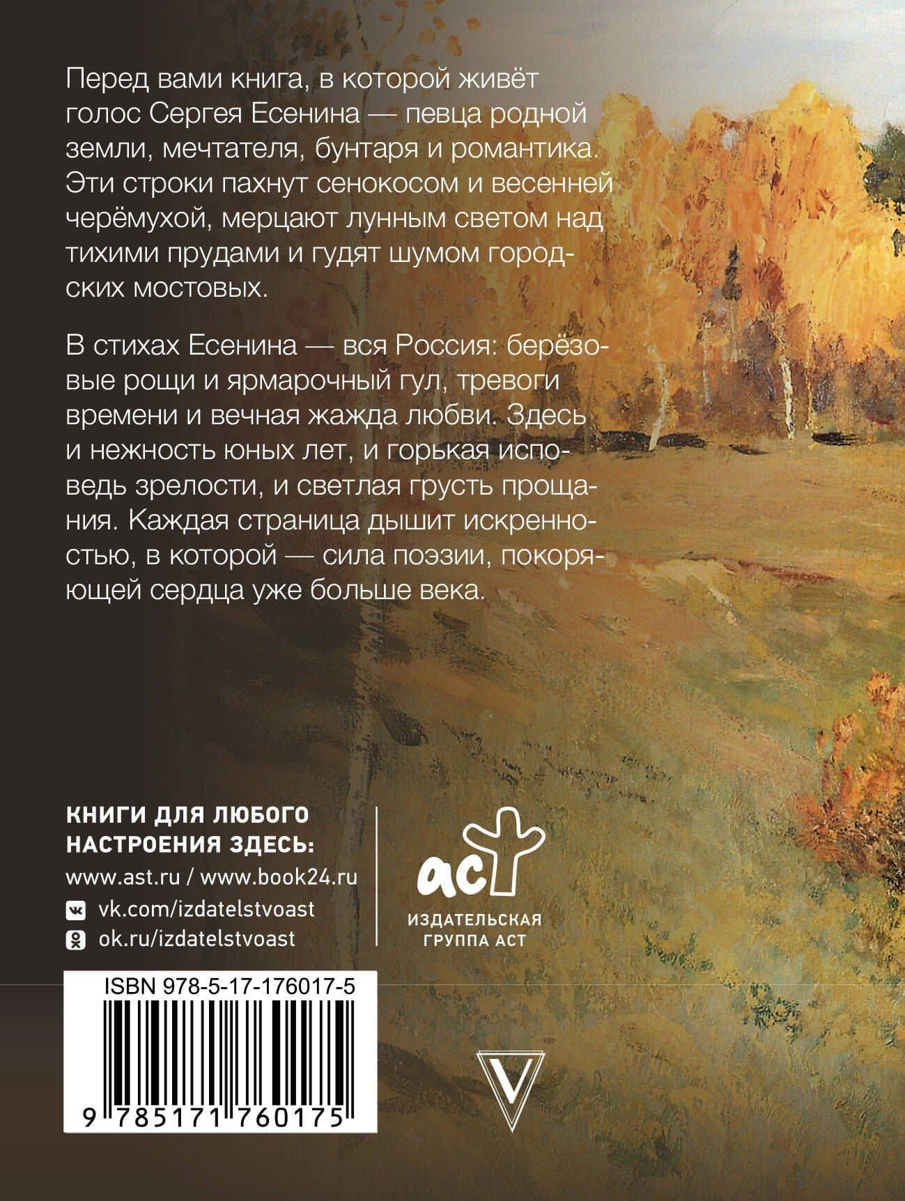 Заметался пожар голубой — Сергей Александрович Есенин (2)