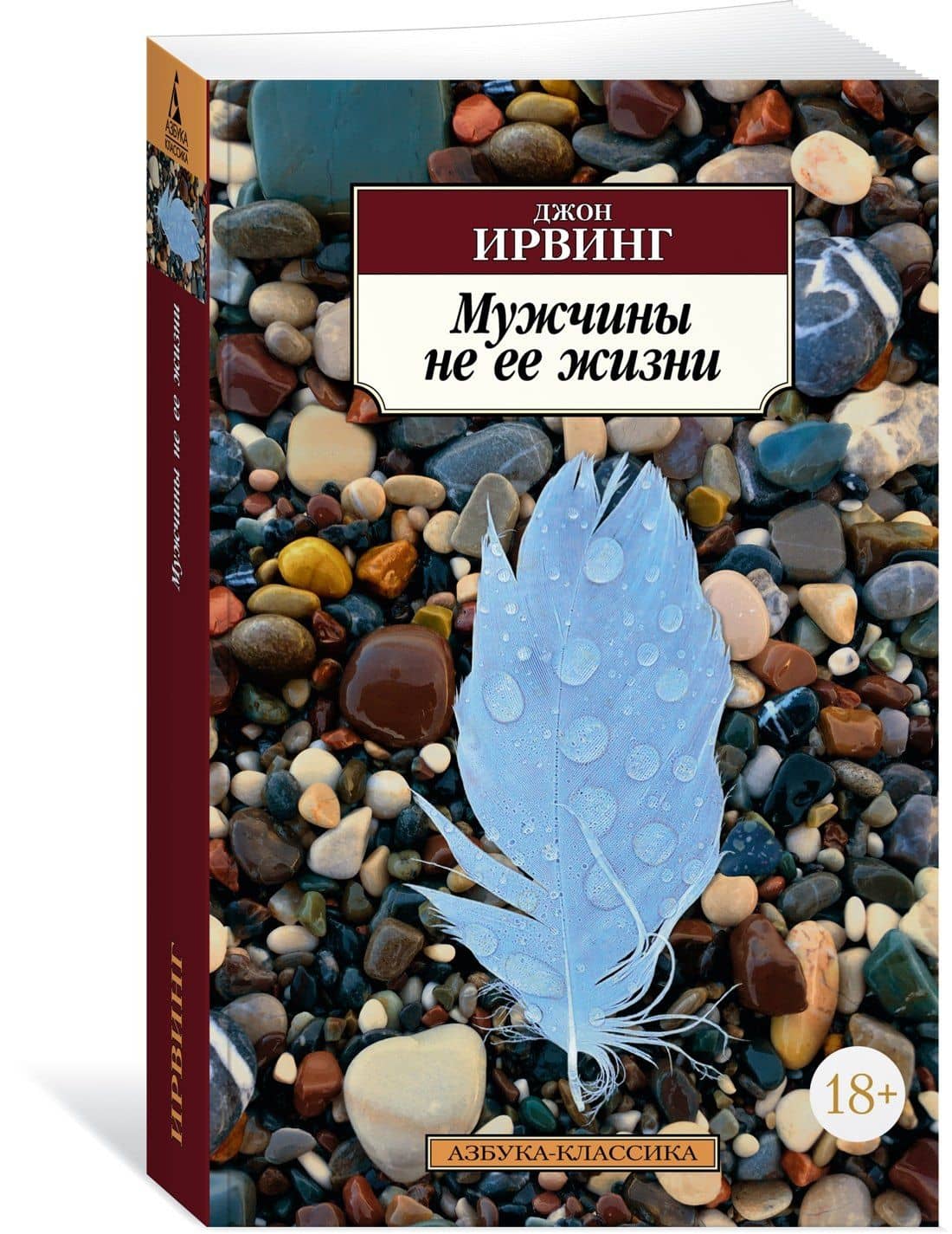 Мужчины не ее жизни — Ирвинг Джон (3)