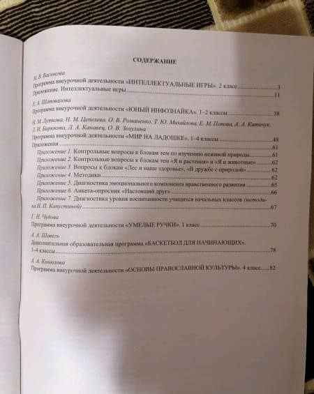 Программы внеурочной деятельности. 1-4 классы. ФГОС — Елена Александровна Шаповалова (3)