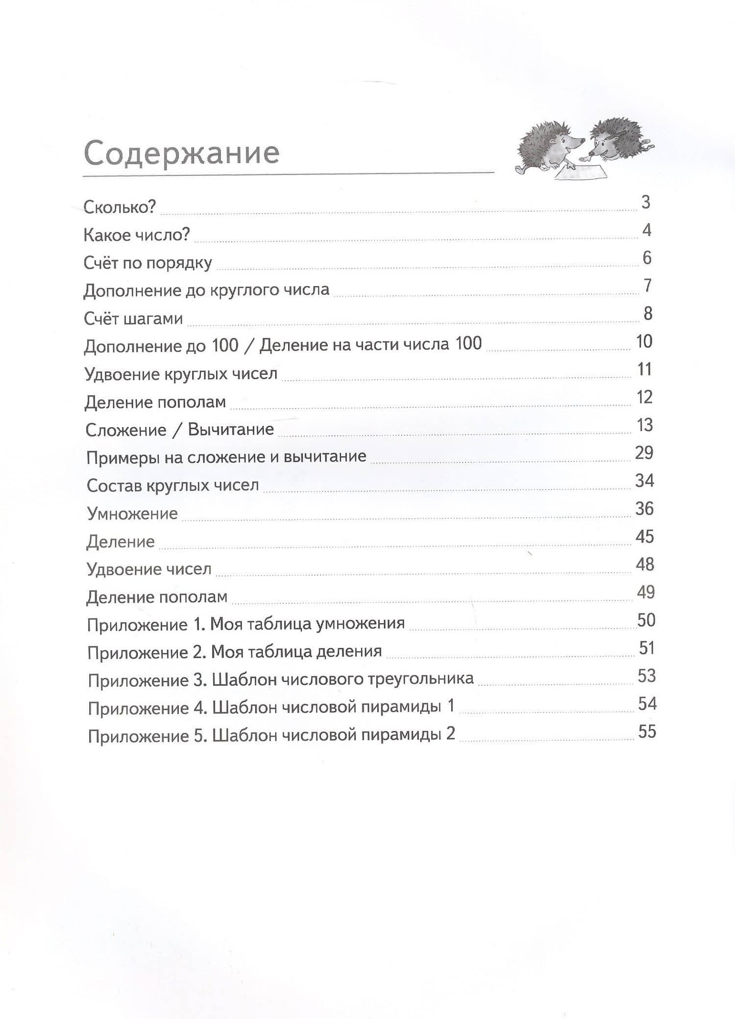 Мате:плюс. Математика. Быстрый счет в пределах 100. Автоматизируем навыки счета — Г. Н. Мюллер (2)