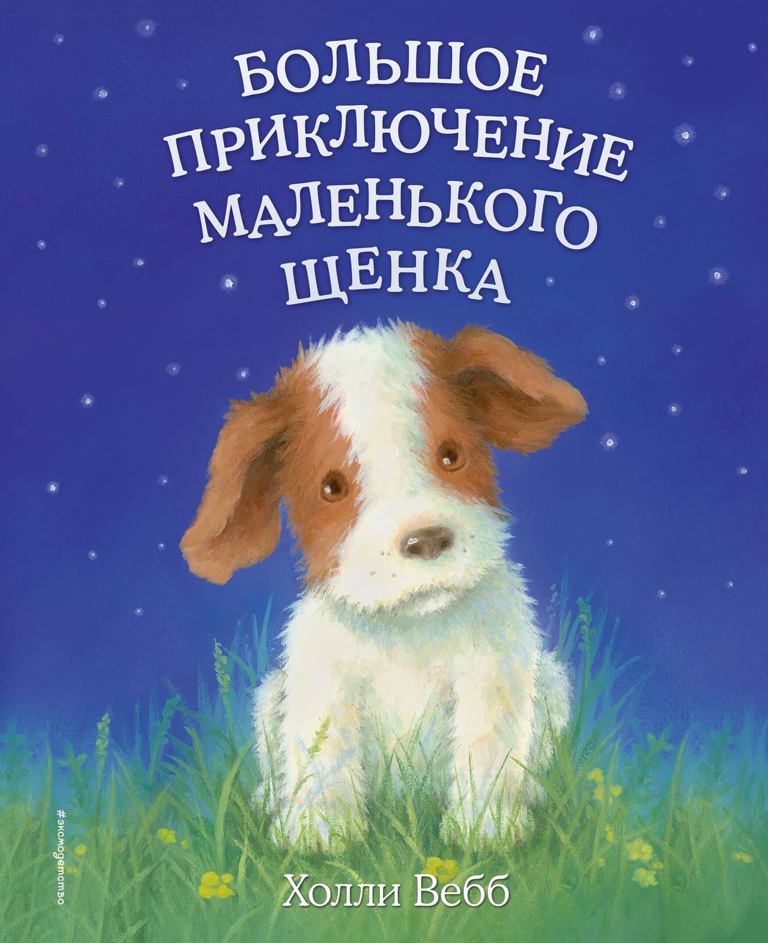Большое приключение маленького щенка — Холли Вебб
