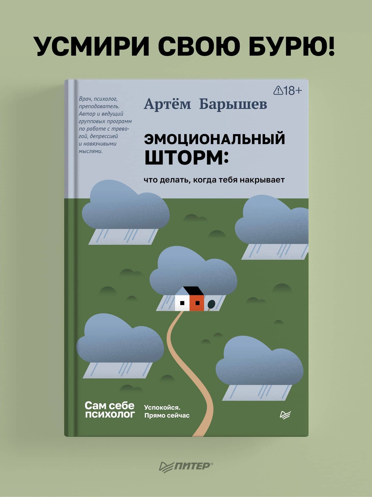 Эмоциональный шторм: что делать, когда тебя накрывает. Успокойся. Прямо сейчас — Артем Барышев (2)