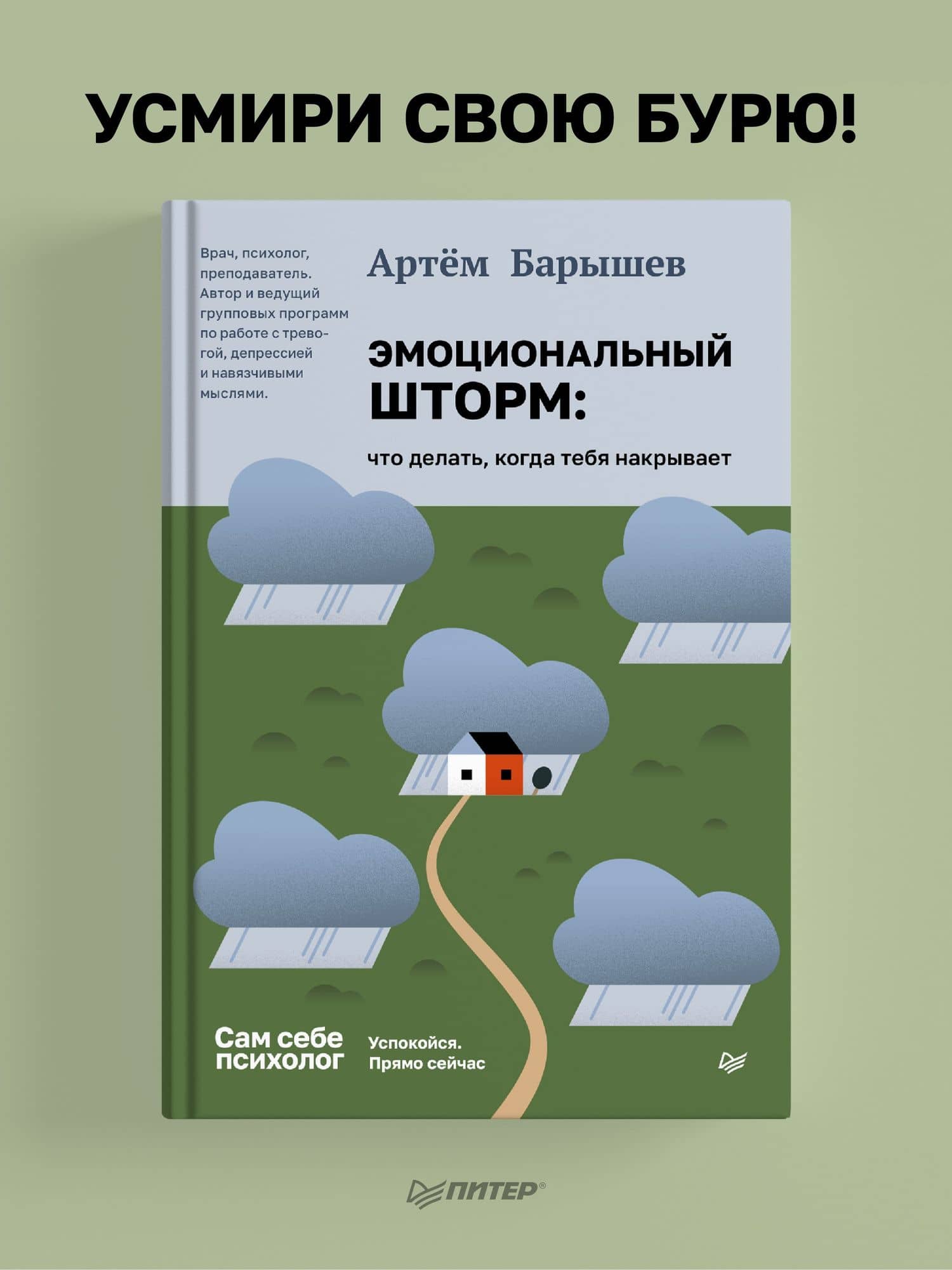 Эмоциональный шторм: что делать, когда тебя накрывает. Успокойся. Прямо сейчас — Артем Барышев (2)