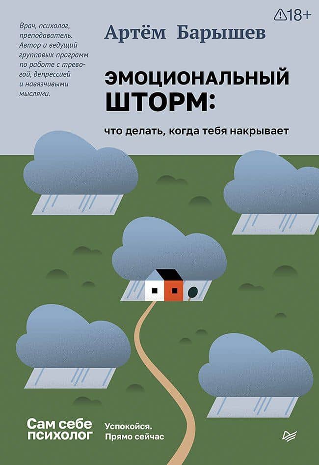 Эмоциональный шторм: что делать, когда тебя накрывает. Успокойся. Прямо сейчас — Артем Барышев