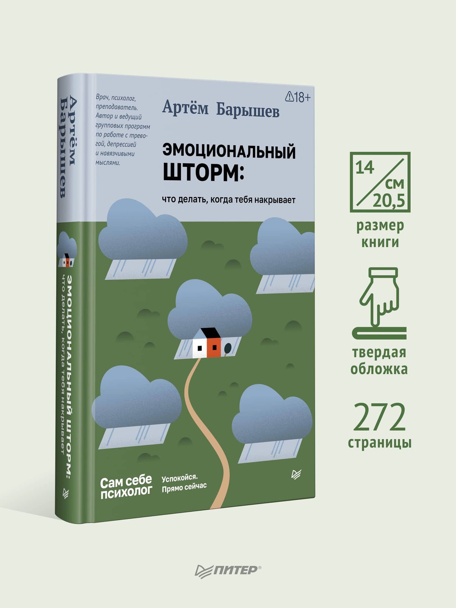 Эмоциональный шторм: что делать, когда тебя накрывает. Успокойся. Прямо сейчас — Артем Барышев (3)