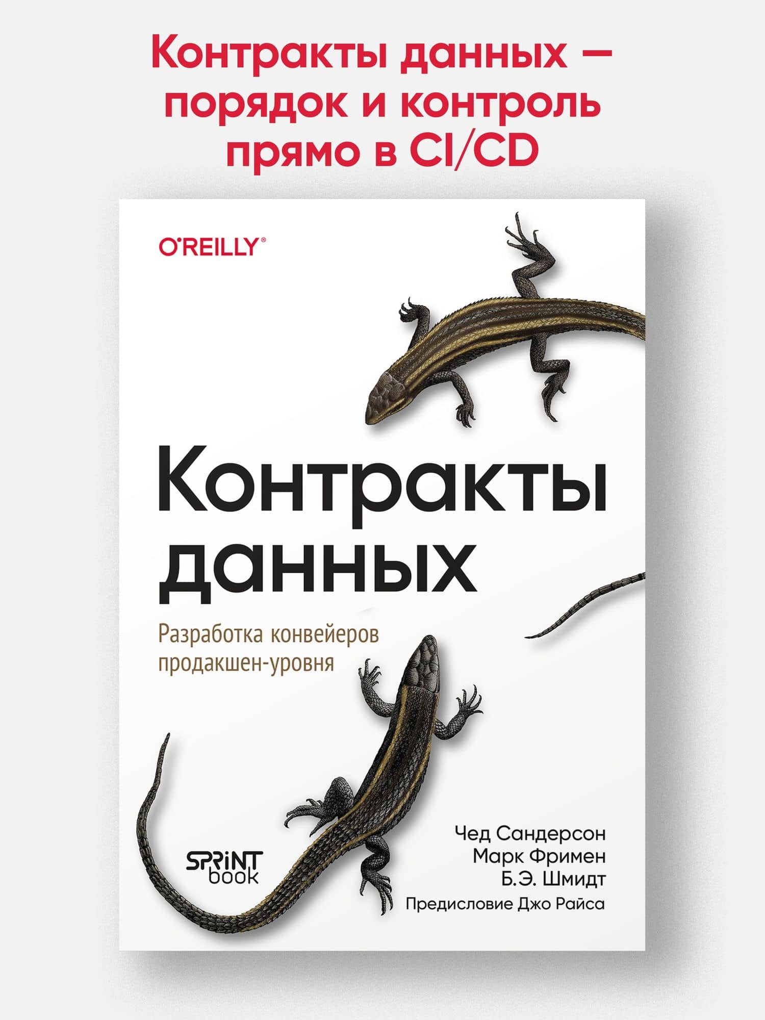 Контракты данных. Разработка конвейеров продакшен-уровня — Б. Э. Шмидт (2)